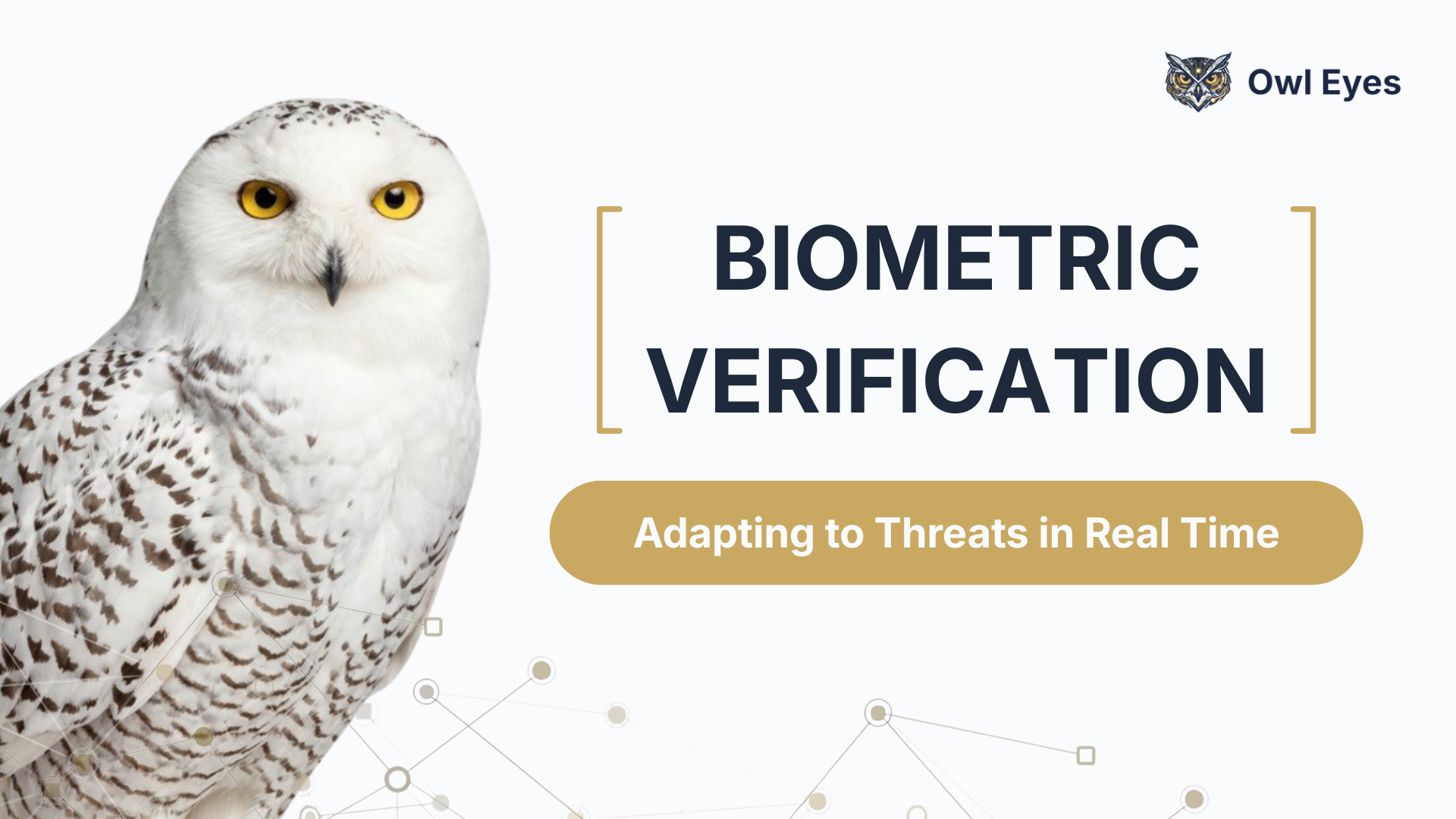 Biometric Verification: Adapting to Threats in Real Time