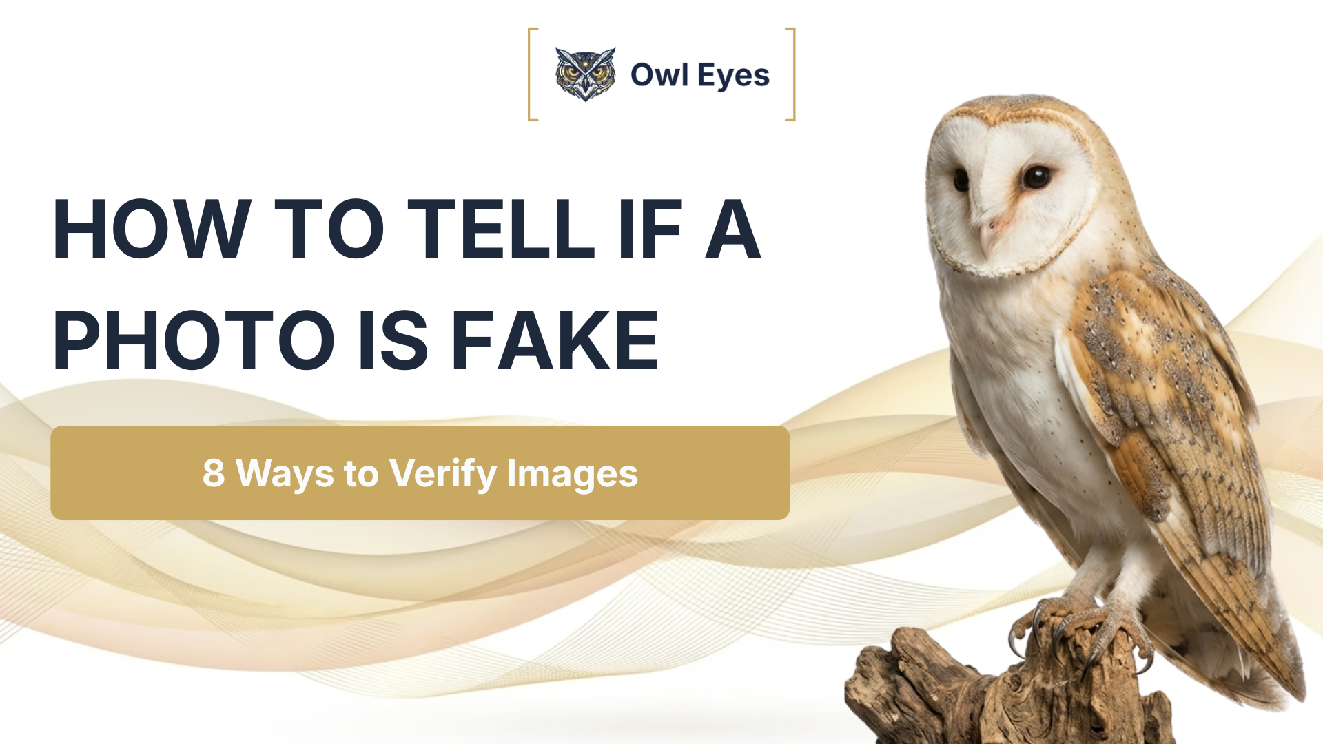 How to Tell If a Photo Is Fake: 8 Ways to Verify Images