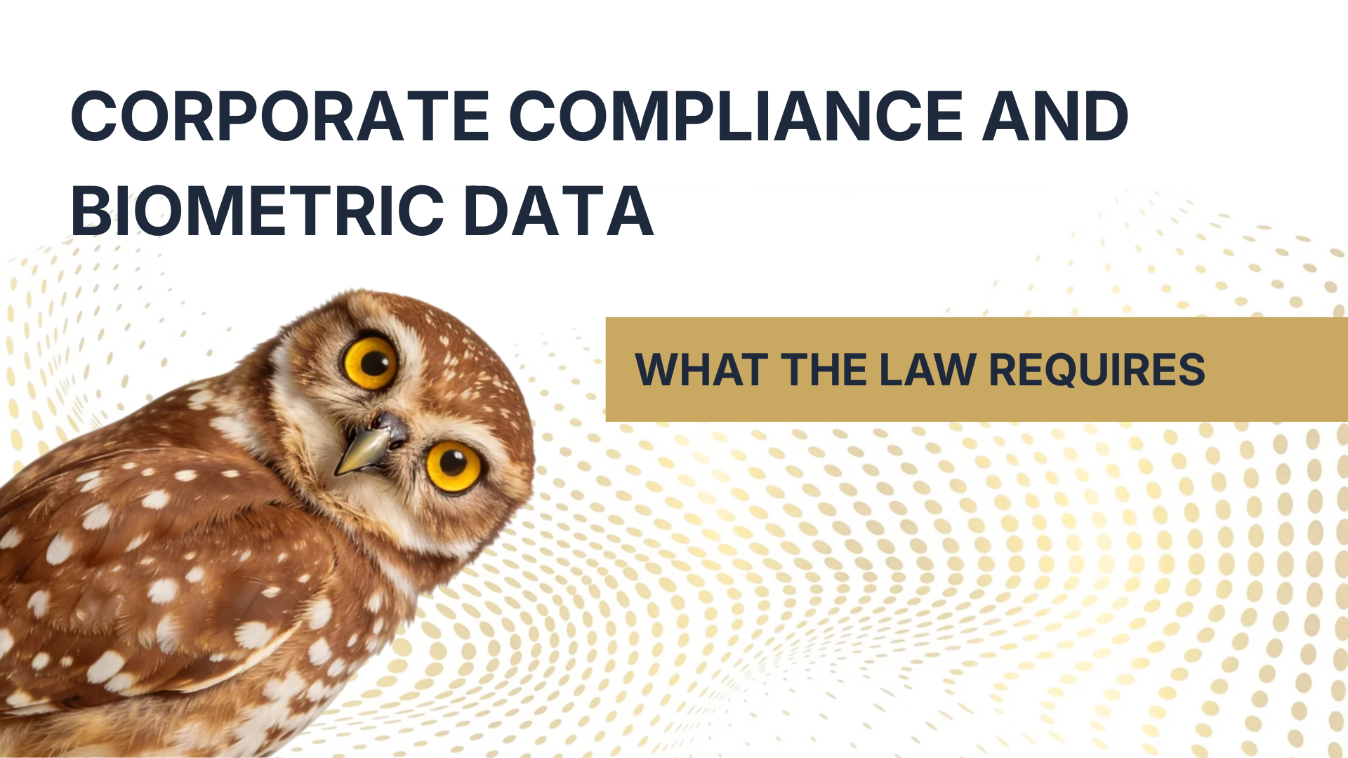 Corporate Compliance and Biometric Data: What the Law Requires