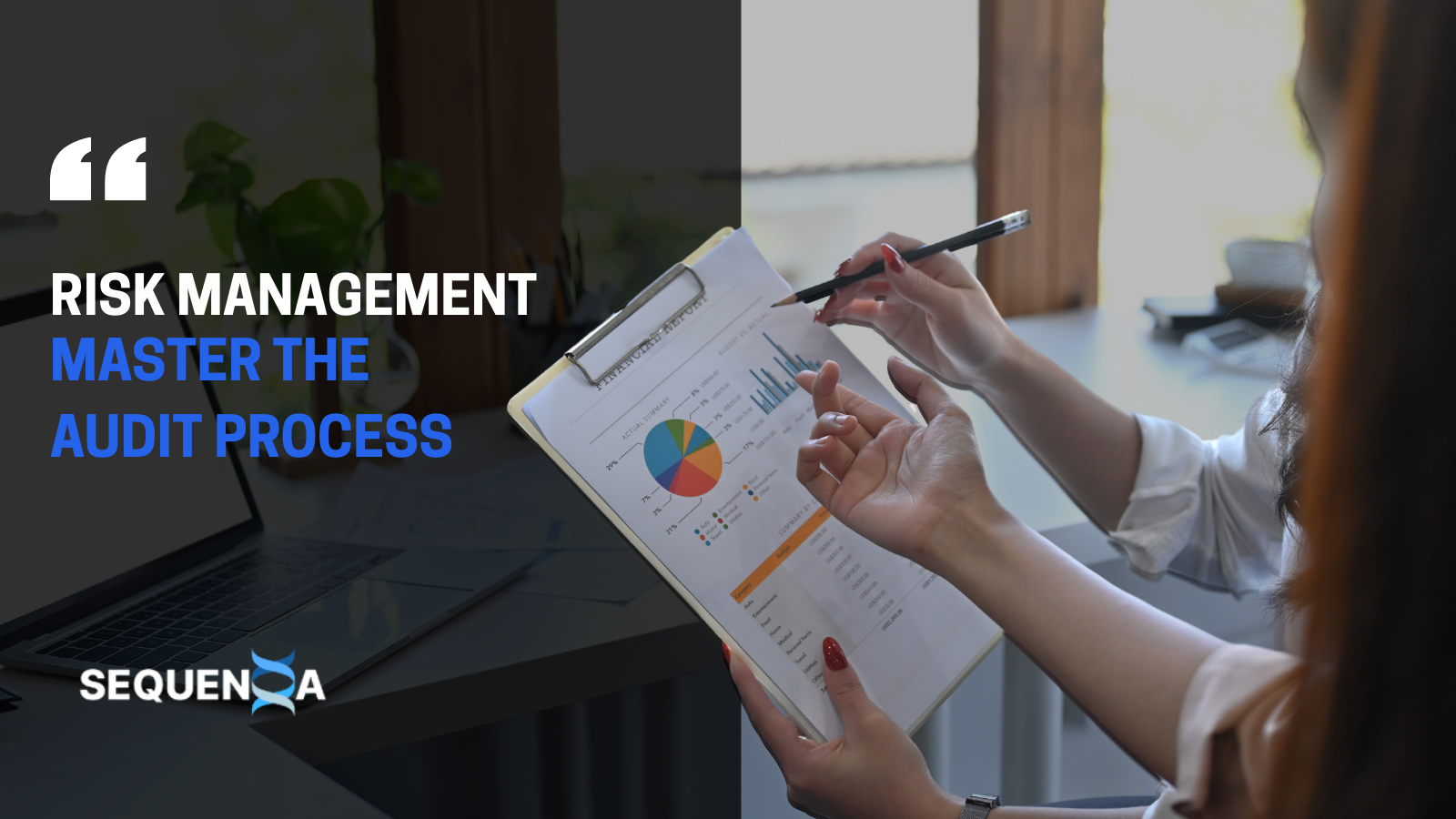 Risk Management: Master the Audit Process